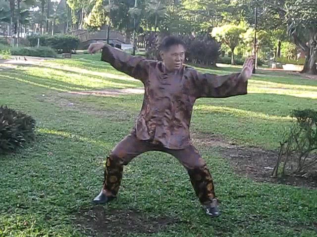 Wu Chuan You Style Taijiquan